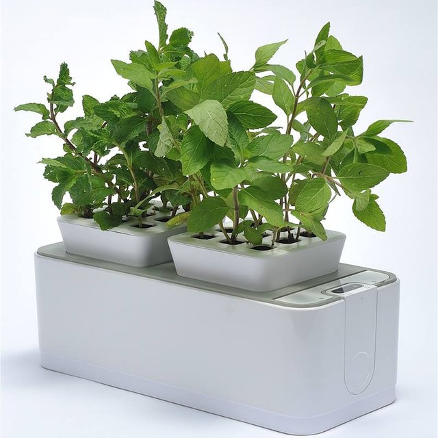 ZeroSoil Mini Indoor Garden