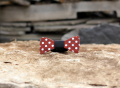 Blaise Painted Wood Bow Tie