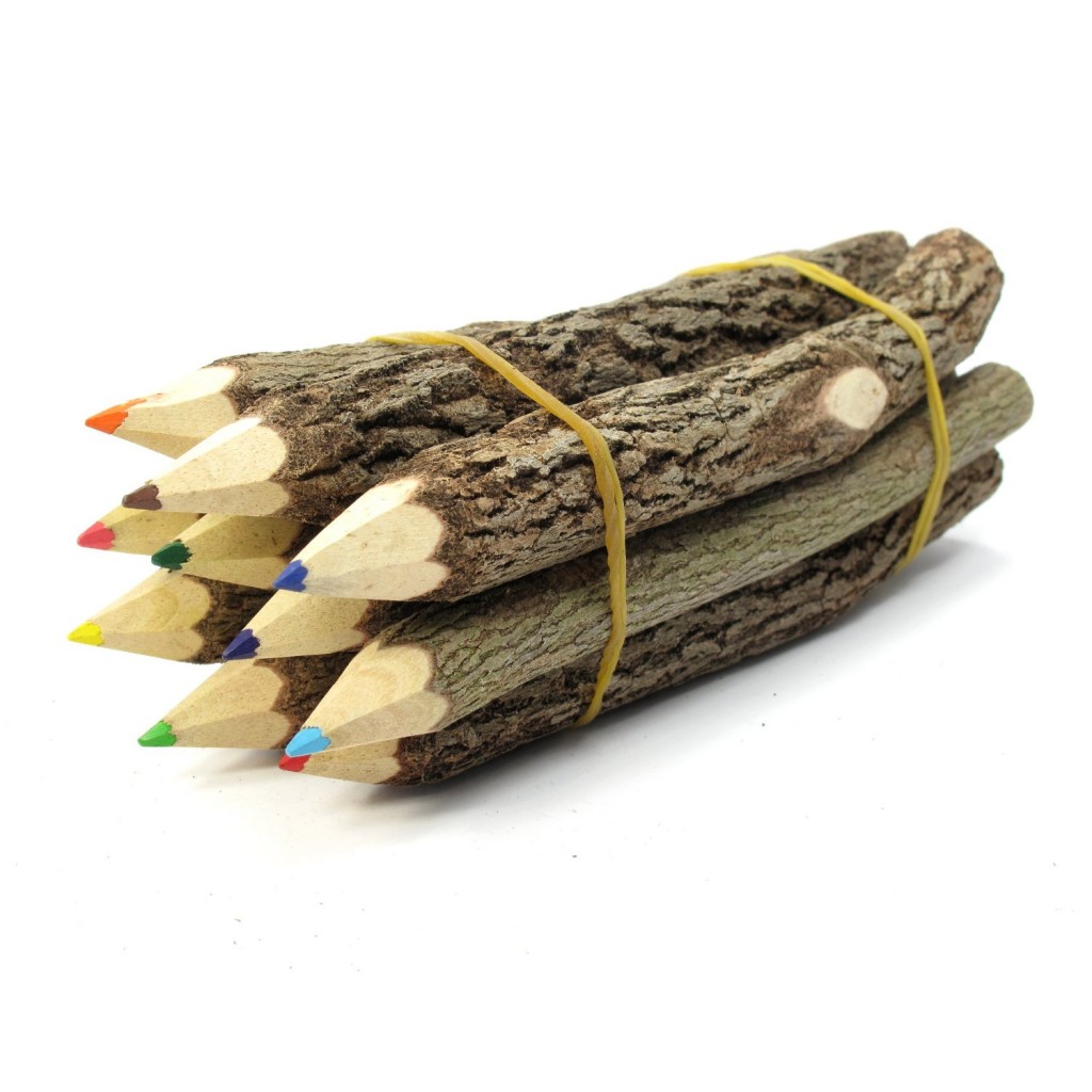 Branch & Twig Assorted Colored Pencils