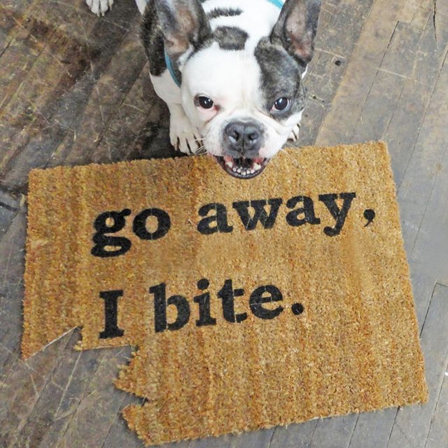 Go Away, I Bite Doormat