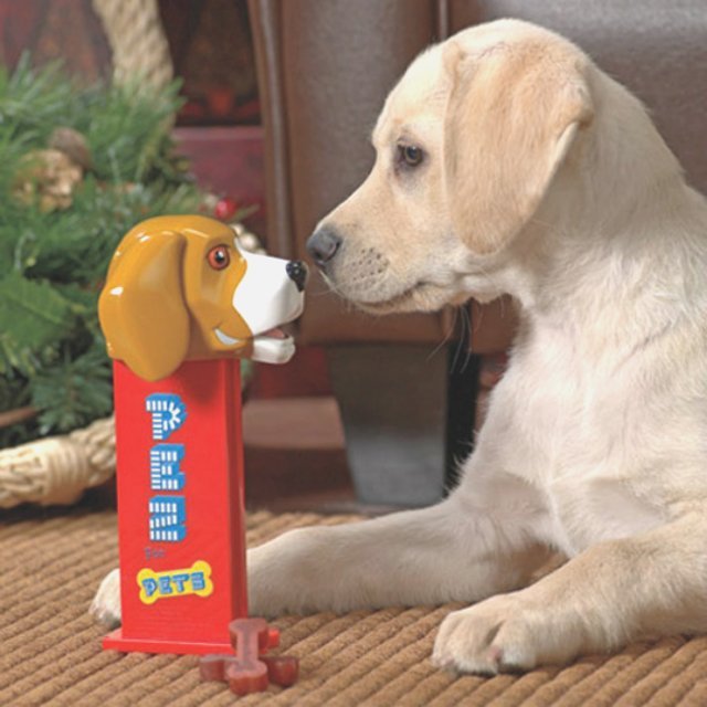 PEZ For Pets Treat Dispenser