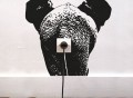 Elephant Wall Sticker by Adrien