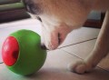 Foobler Puzzle Feeder for Dogs