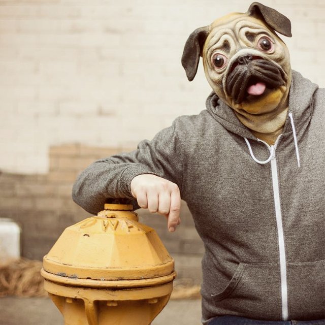 Pug Mask