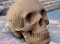Vince Human Skull by Cardboard Safari