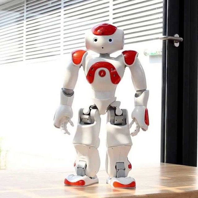Nao Robot by Aldebaran Robotics