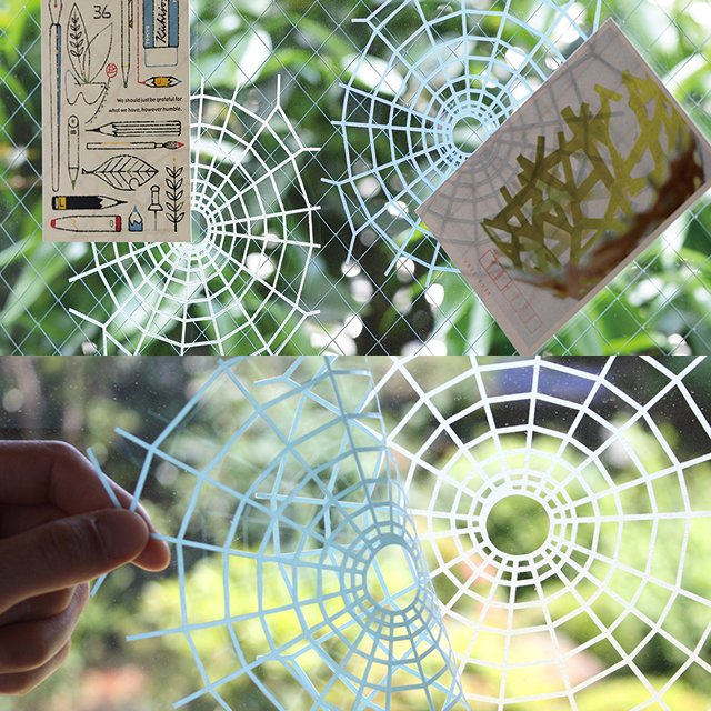 Kumonosu Adhesive Spiderweb