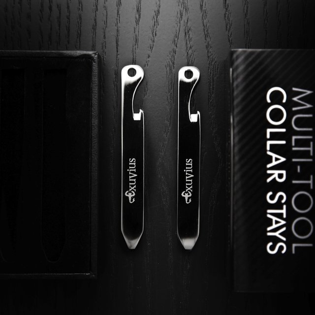 Exuvius Titanium Collar Stays