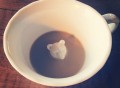 Hidden Bear Teacup