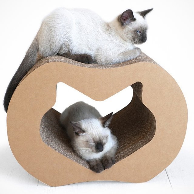 diy cat scratching post cardboard