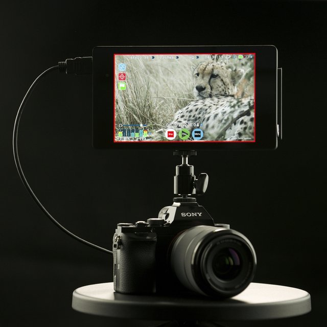 Atomos Shogun 4K HDMI Monitor & Recorder