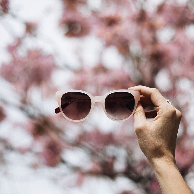 Peach Thelma Sunglasses by Triwa