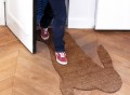 Hare Doormat by Droog