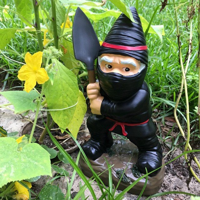 Ninja Gnome