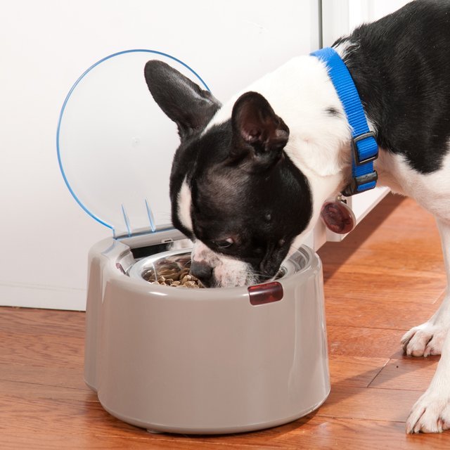 WonderBowl Selective Pet Feeder