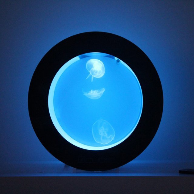 Orbit 20 Jellyfish Aquarium