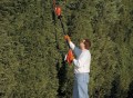 Cordless Long Reach Hedge Trimmer