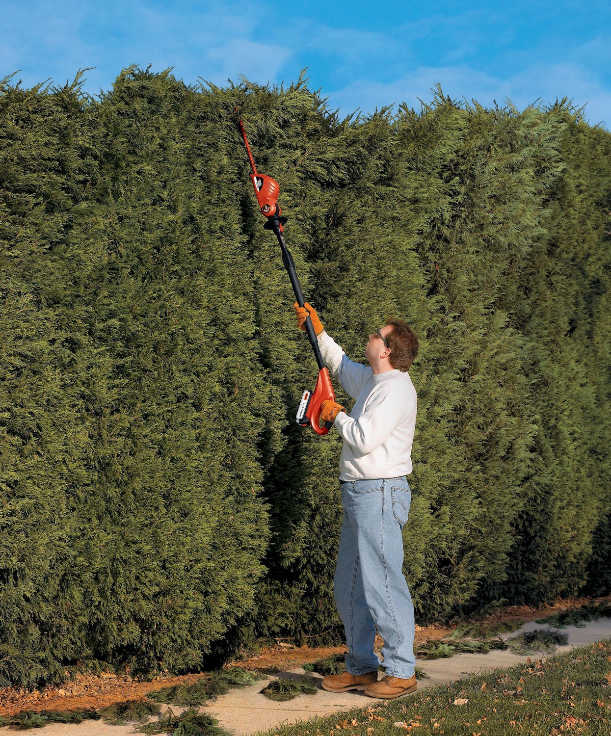 Cordless Long Reach Hedge Trimmer
