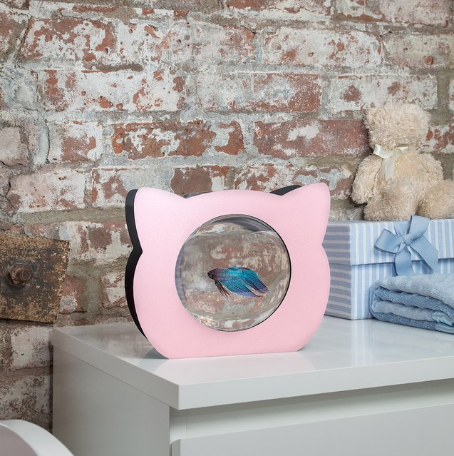 Zooquariums: Cat Shaped Betta Fish Tank