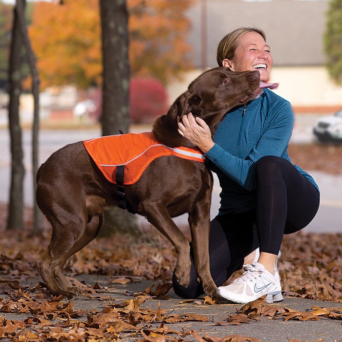 Kurgo Active LED Dog Vest