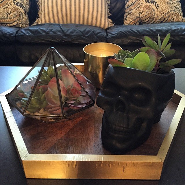 Skull Planter