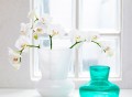Duo Glass Vase by Sagaform