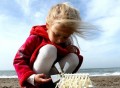 Wind Powered Mini Strandbeest Kit