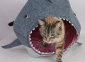 Cat Shark Bed