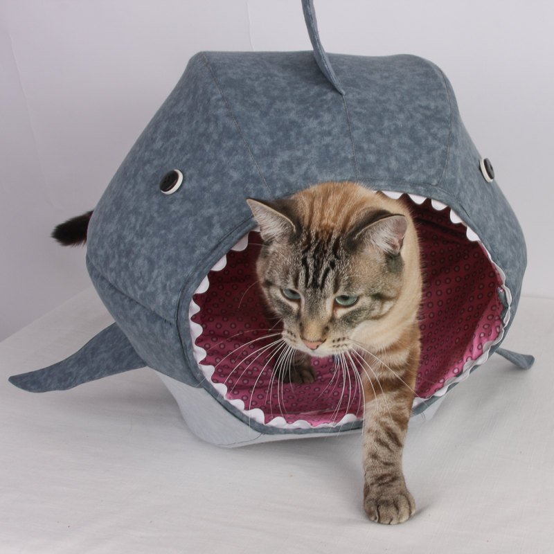 Cat Shark Bed