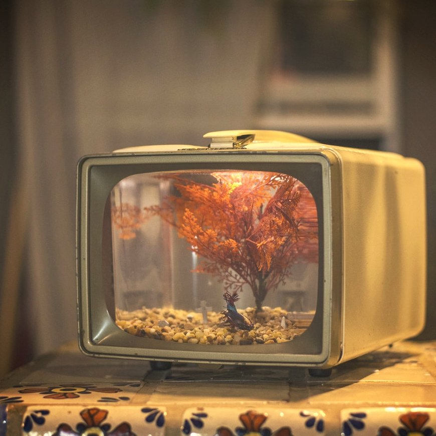 Vintage TV Aquarium