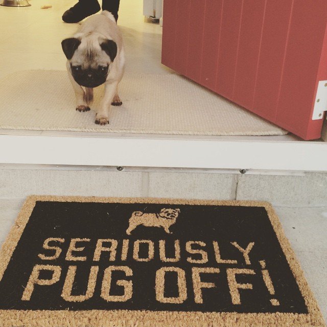 Pug Off Doormat
