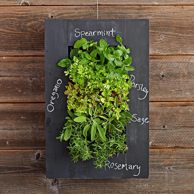 GroVert Chalkboard Wall Planter