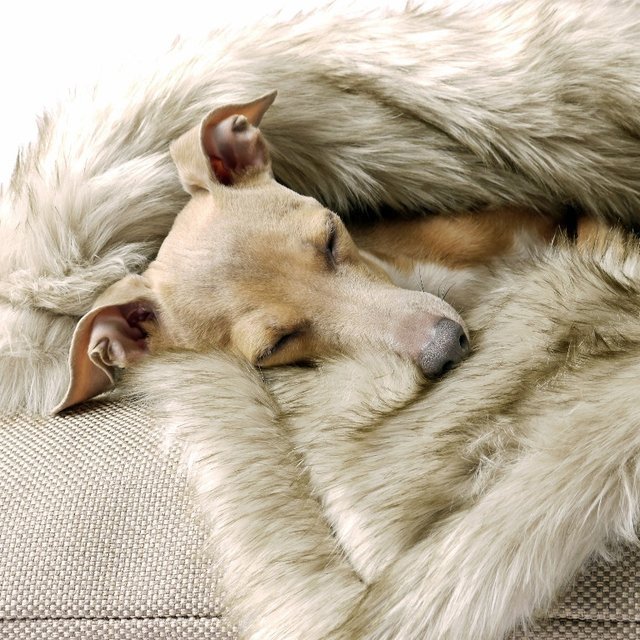 Faux Fur Dog Blanket