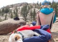 Noblecamper 2-in-1 Ultralight Travel Dog Bed and Sleeping Bag