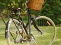 Sommer Bicycle by Papillionaire