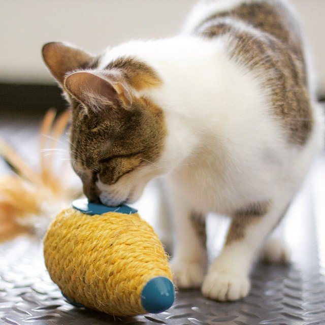 Carrot Cat Roll Toy