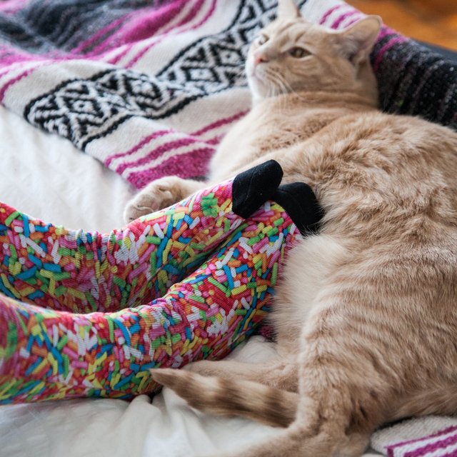 Sprinkles Foodie Crew Socks