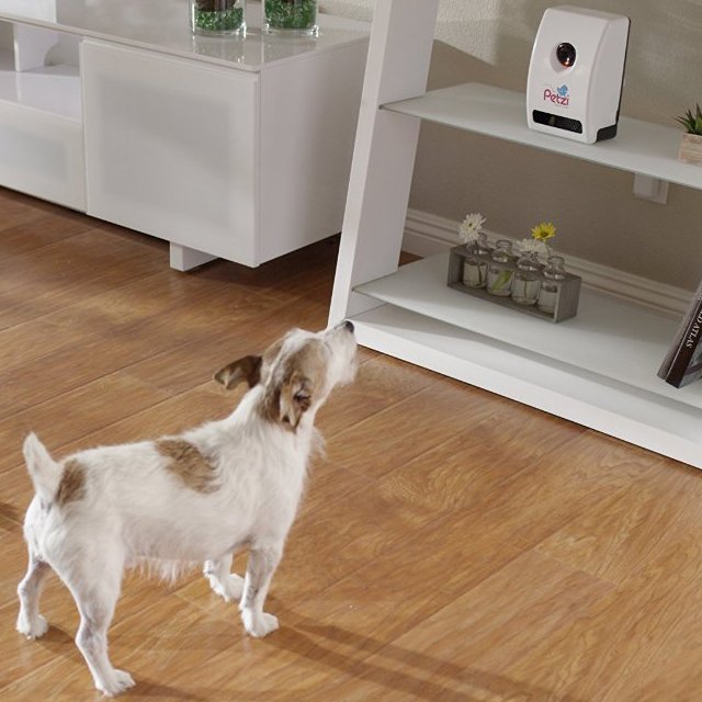 Wi-Fi Pet Camera & Treat Dispenser