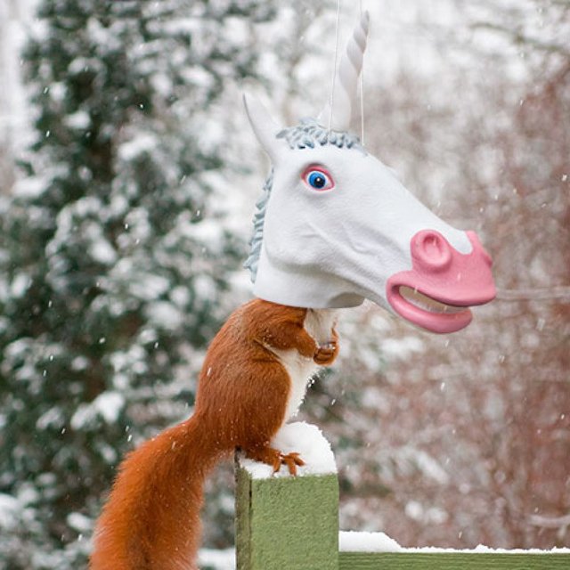 Unicorn Squirrel Feeder