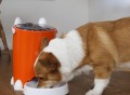 Lusmo Automatic Pet Feeder