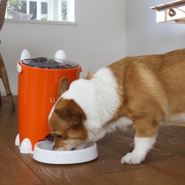 Lusmo Automatic Pet Feeder