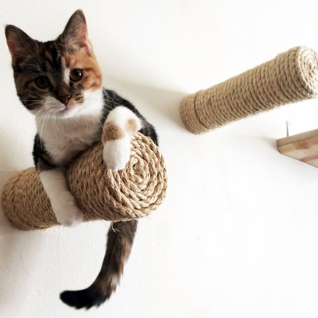 Floating Sisal Cat Shelf Post