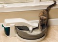 Continuous-Clean Litter Box by PetSafe