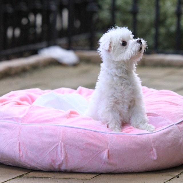 Otto Round Pet Bed With Heat Relief Padding