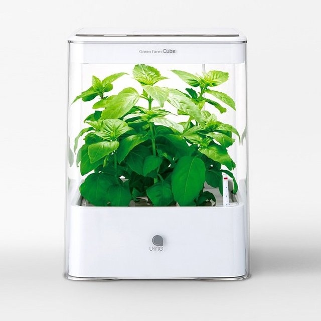 Cube Hydroponic Grow Box by U-ING