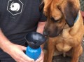 AutoDogMug Dog Water Bottle Bowl