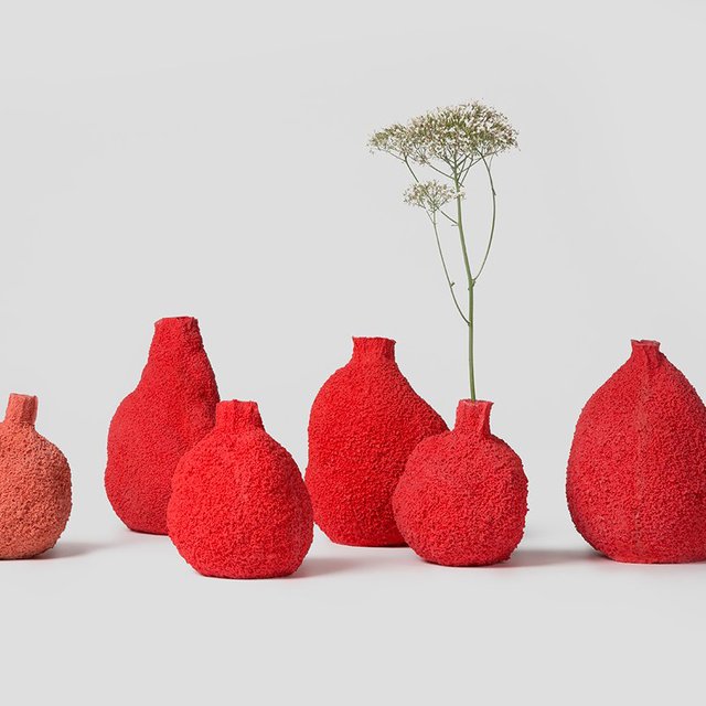 Coral Vases