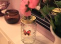 Electronic Butterfly in a Jar