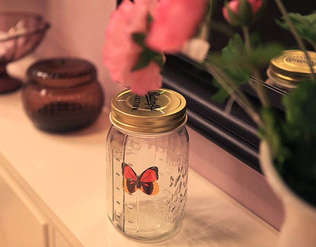 Electronic Butterfly in a Jar