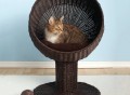 Kitty Ball Cat Bed